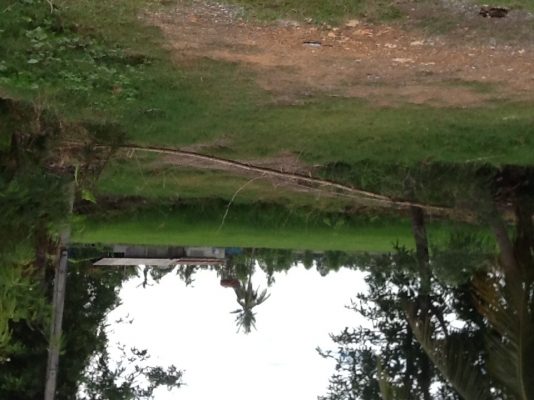 ขายที่ริมบึงด้านหน้าติดถนนลาดยางน้ำไม่ท่วมไร่ละ700000฿มี4ไร่(2800000บาท)