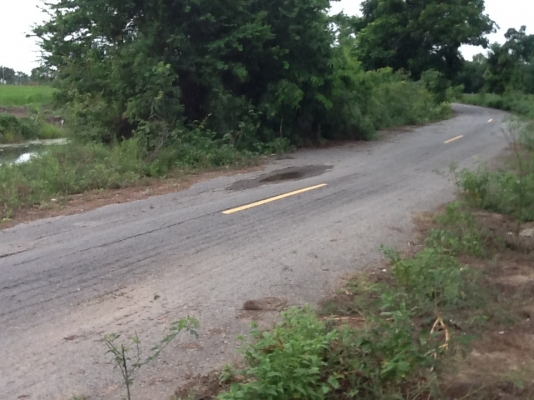 ขายที่ริมบึงด้านหน้าติดถนนลาดยางน้ำไม่ท่วมไร่ละ700000฿มี4ไร่(2800000บาท)