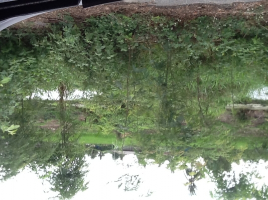 ขายที่ริมบึงด้านหน้าติดถนนลาดยางน้ำไม่ท่วมไร่ละ700000฿มี4ไร่(2800000บาท)