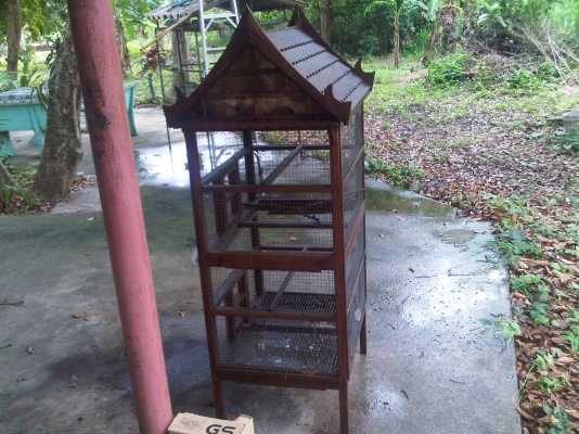 เรือนไทยไม้ กรงนก เรือนไทยไม้ กรงนก