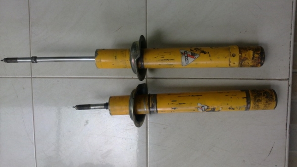 โช๊คแอคคอตงูเห่า