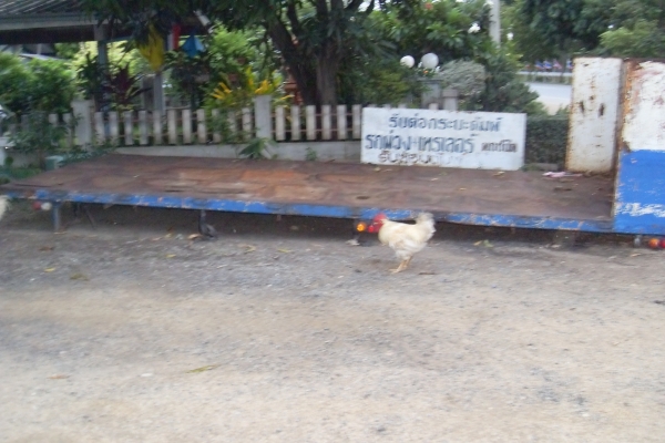 * ขายกะบะ 10 ล้อ พื้นเรียบ สภาพดี ลดเหลือ 25,000.-