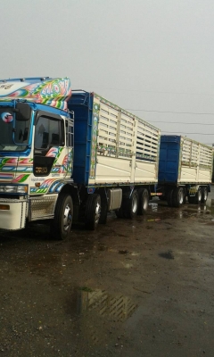 ขาย โปรเซีย แม่ ลูก. ไม่ดั้มพ์ 24 ล้อ. จดปี 55