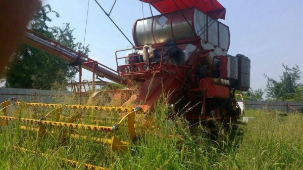 ขายด่วน