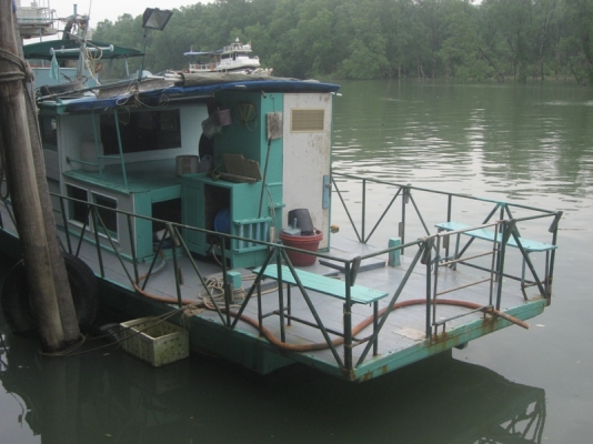 ขายเรือท่องเที่ยวตกปลา