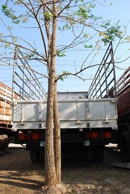 Mitsubishi 6 ล้อ  สภาพสวย