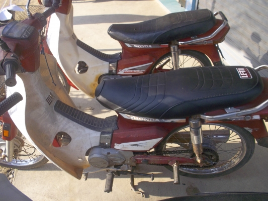 ขอขายดรีมขายในราคา14500 สนใจในราคา 0839090699