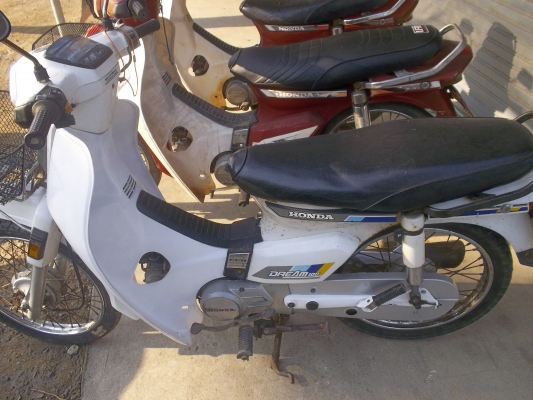 ขอขายดรีมขายในราคา14500 สนใจในราคา 0839090699