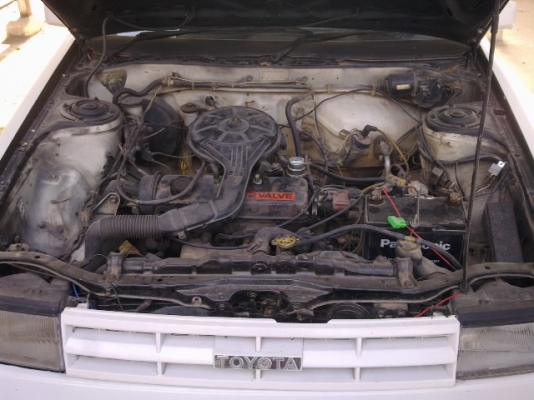 สักคัน สักคัน