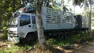 รถอิิซูซุ 10 ล้อดั๊ม FXZ 270 แรงม้า ( ขายแม่ลูก ) สนใจติดต่อ 081 - 679515 รถอิิซูซุ 10 ล้อดั๊ม FXZ 270 แรงม้า ( ขายแม่ลูก ) สนใจติดต่อ 081 - 679515