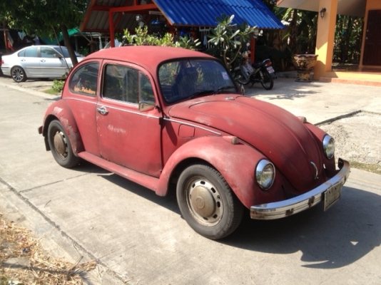 เต่าแห้ง เดิมๆ ถูกๆ ถูกที่สุด ติดต่อ 0892299181