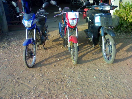 โซนิคปี43+47+ดรีมปี39