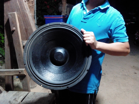 ขายดอกลำโพงกลางแจ้ง ดอกโมดิฟายสั่งทำ 18นิ้ว 8ดอก ราคา 20,000