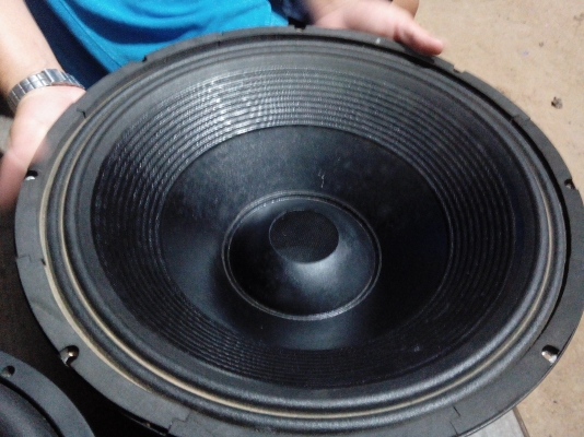 ขายดอกลำโพงกลางแจ้ง ดอกโมดิฟายสั่งทำ 18นิ้ว 8ดอก ราคา 20,000