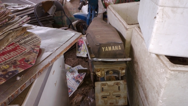 ขาย แพคคู่