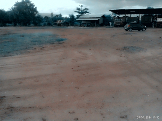 ขายที่ลานอ้อยพร้อมสวนอ้อยและอุปกรณ์และสิ่งปลูกสร้าง