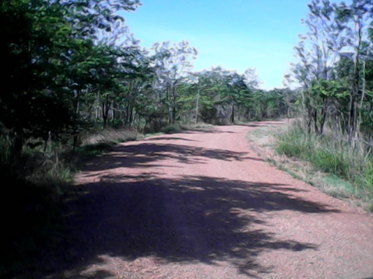 ขายที่ปลูกมัน