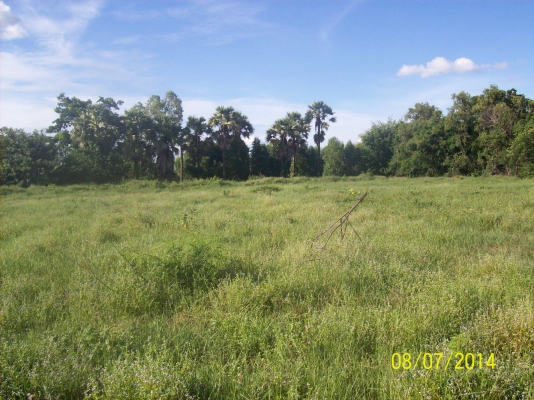 ขออนุญาติขายที่ดิน