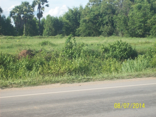 ขออนุญาติขายที่ดิน