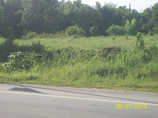 ขออนุญาติขายที่ดิน