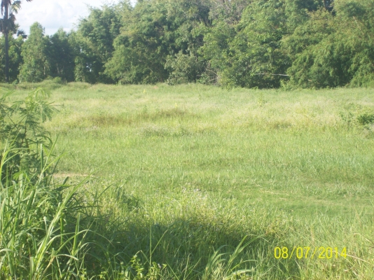 ขออนุญาติขายที่ดิน