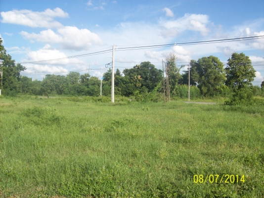 ขออนุญาติขายที่ดิน