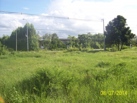 ขออนุญาติขายที่ดิน