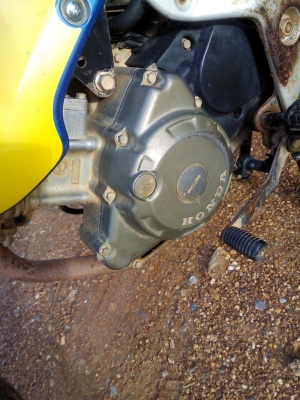 โซนิคปี44 ภาษีเต็ม