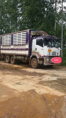 isuzu  แม่ลูกดั้ม