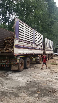 isuzu  แม่ลูกดั้ม