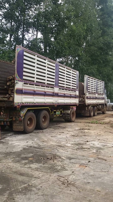 isuzu  แม่ลูกดั้ม