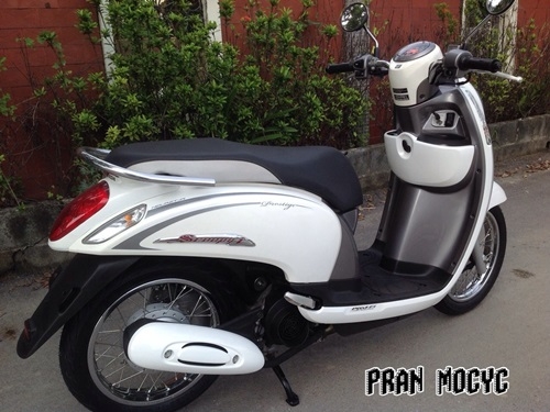 ขายscoopy-iสีขาวเทา ตัวTOP ปี2013 ขายscoopy-iสีขาวเทา ตัวTOP ปี2013