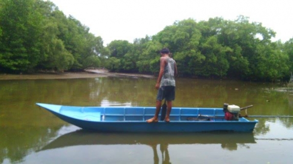 ขายเรือไฟเบอร์