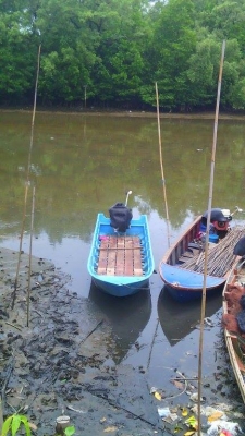 ขายเรือไฟเบอร์