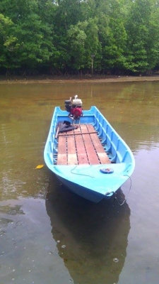 ขายเรือไฟเบอร์