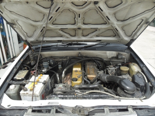 ขายมังกรทองครับ