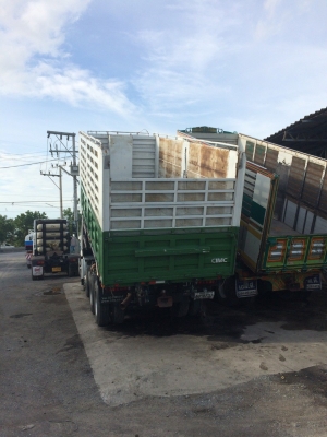 ต้องการขาย12ล้อดั้มSINOTRUCK NGV
