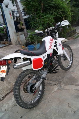 ขาย HONDA MTX สภาพสวยๆ