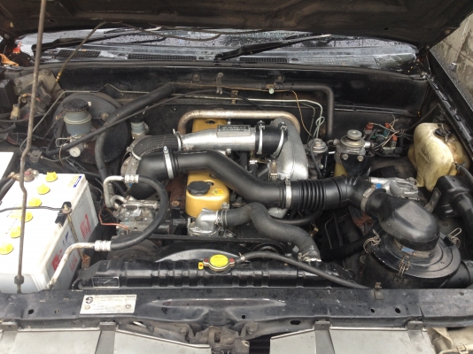 ดราก้อน 1999 ดราก้อน 1999