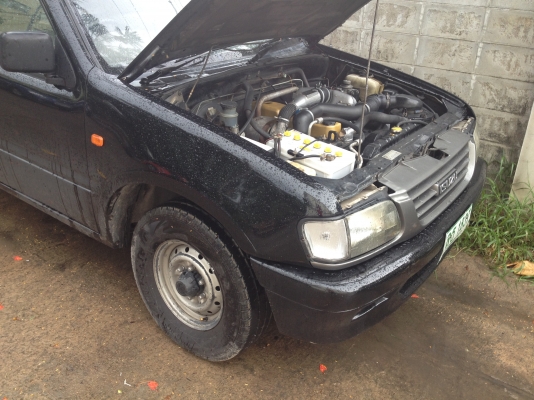 ดราก้อน 1999 ดราก้อน 1999