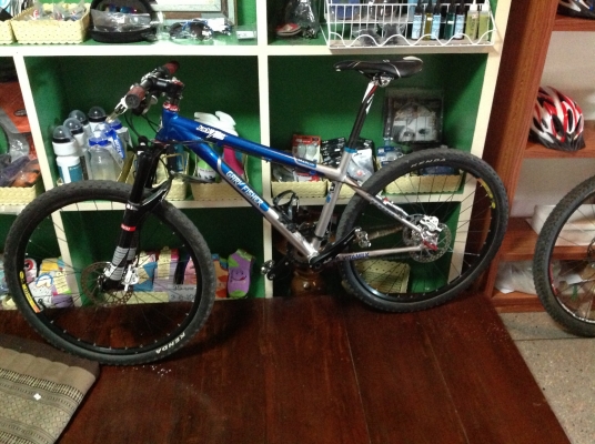 ขายเสือภูเขา