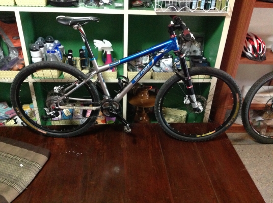 ขายเสือภูเขา ขายเสือภูเขา