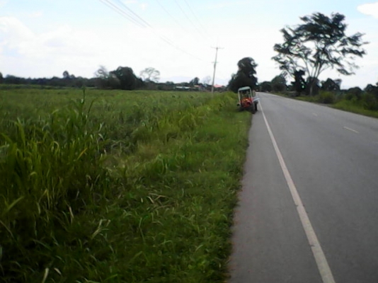 ขายที่ดินราคาถูกด่วน