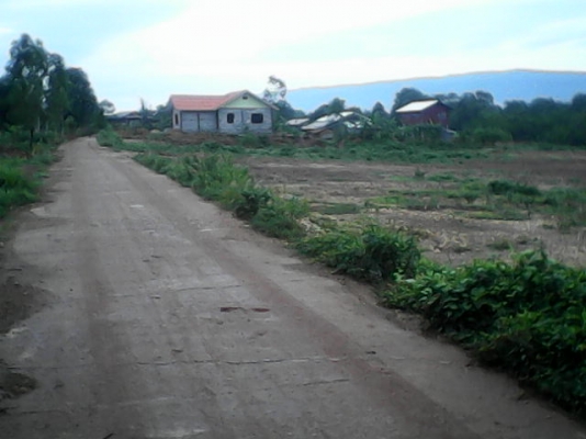 ขายที่ดินราคาถูกด่วน