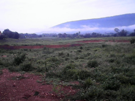 ขายที่ดินราคาถูกด่วน