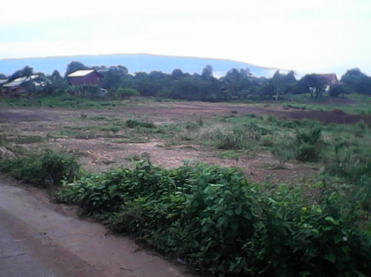 ขายที่ดินราคาถูกด่วน