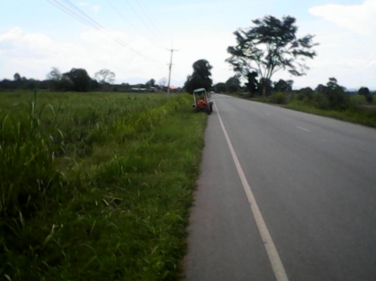 ขายที่ดินราคาถูกด่วน