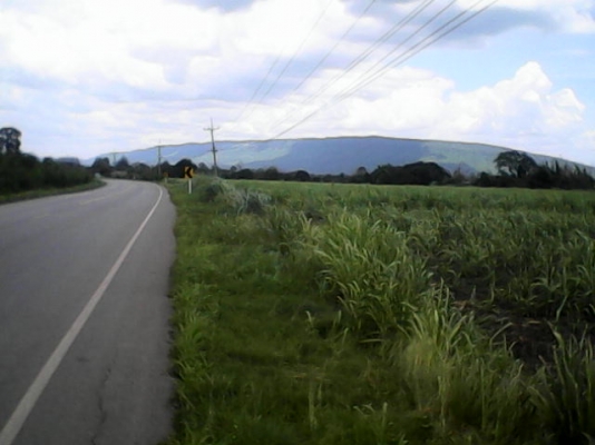 ขายที่ดินราคาถูกด่วน