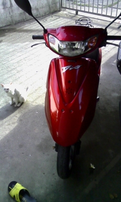 dio af62 สี่จังหวะ