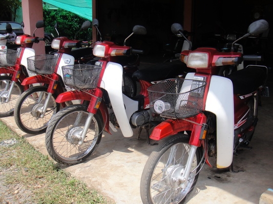 มาแล้วล๊อตใหม่ ฮอนด้าดรีม คุรุสภา สภาพเดิมสวยพร้อมใช้ ( ทะเบียนพร้อมชุดโอน )